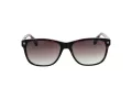 Ted Baker Aurinkolasit TB 1753 119