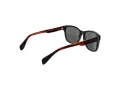 Ted Baker Aurinkolasit TB 1753 599