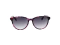 Ted Baker Aurinkolasit TB 1763 702