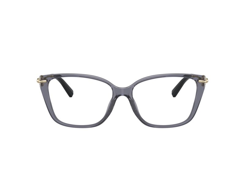 Tiffany Silmalasit TF 2248K 8405