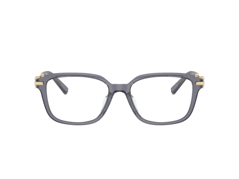 Tiffany Silmalasit TF 2253D 8405