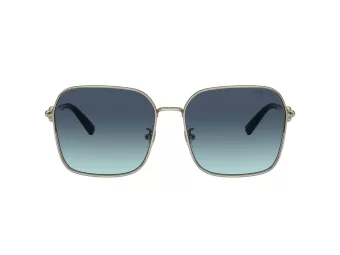 Tiffany Aurinkolasit TF 3093D 60219S