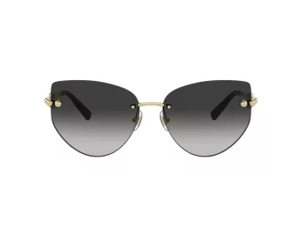 Tiffany Aurinkolasit TF 3096 60213C