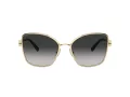 Tiffany Aurinkolasit TF 3102B 60213C