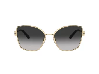 Tiffany Aurinkolasit TF 3102B 60213C