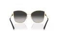 Tiffany Aurinkolasit TF 3102B 60213C