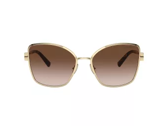Tiffany Aurinkolasit TF 3102B 61893B