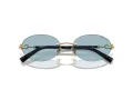 Tiffany Aurinkolasit TF 3104D 602180