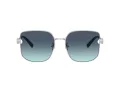 Tiffany Aurinkolasit TF 3105D 60019S