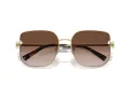 Tiffany Aurinkolasit TF 3105D 61893B