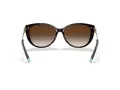 Tiffany Aurinkolasit TF 4178 80153B
