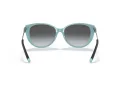 Tiffany Aurinkolasit TF 4178 8055T3