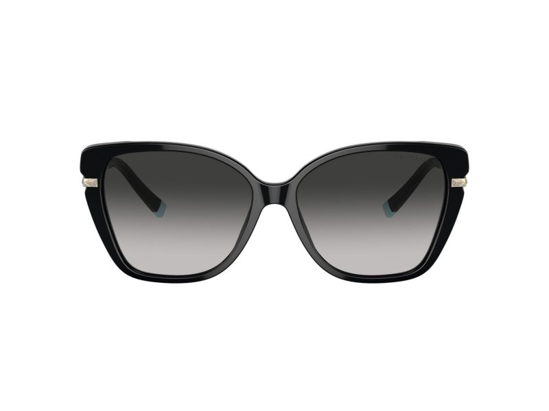 Tiffany Aurinkolasit TF 4190 80013C