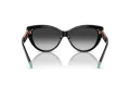 Tiffany Aurinkolasit TF 4196 80013C