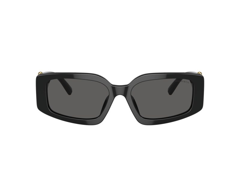 Tiffany Aurinkolasit TF 4208U 8001S4