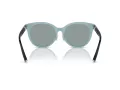 Tiffany Aurinkolasit TF 4209D 8055/1