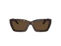 Tiffany Aurinkolasit TF 4213 80153G