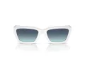 Tiffany Aurinkolasit TF 4213 83929S