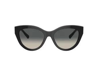 Tiffany Aurinkolasit TF 4220 800171