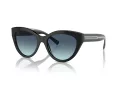 Tiffany Aurinkolasit TF 4220 80019S
