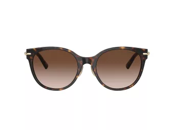 Tiffany Aurinkolasit TF 4223D 80153B