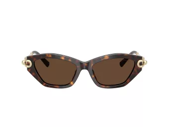 Tiffany Aurinkolasit TF 4231U 80153G
