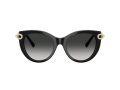 Tiffany Aurinkolasit TF 4232 80013C