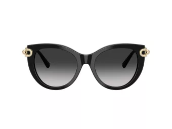 Tiffany Aurinkolasit TF 4232 80013C