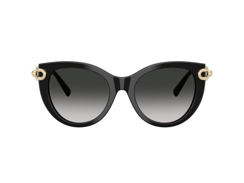 Tiffany Aurinkolasit TF 4232 80013C