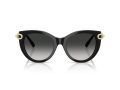 Tiffany Aurinkolasit TF 4232 80013C