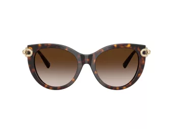 Tiffany Aurinkolasit TF 4232 80153B