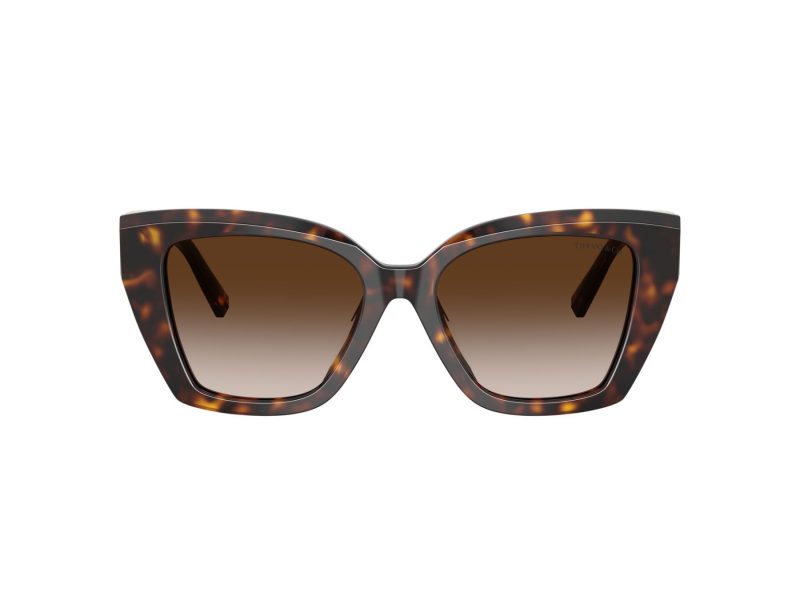 Tiffany Aurinkolasit TF 4239U 80153B