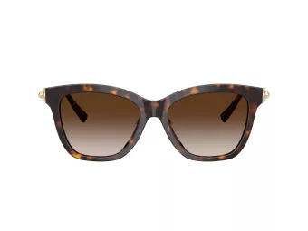 Tiffany Aurinkolasit TF 4241D 80153B