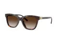 Tiffany Aurinkolasit TF 4241D 80153B