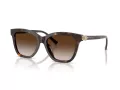 Tiffany Aurinkolasit TF 4241D 80153B
