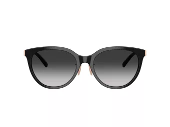 Tiffany Aurinkolasit TF 4243D 80013C