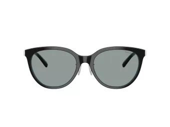 Tiffany Aurinkolasit TF 4243D 8055/1