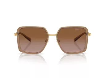 Versace Aurinkolasit VE 2261 100213