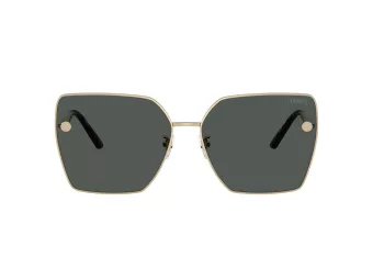 Versace Aurinkolasit VE 2270D 125287