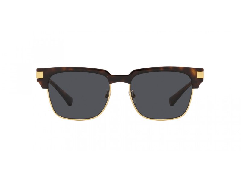 Versace Aurinkolasit VE 4447 108/87