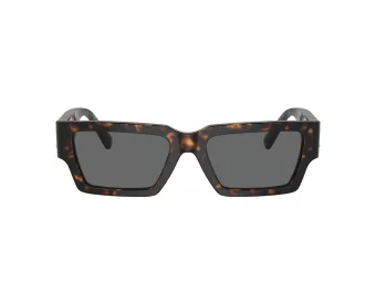 Versace Aurinkolasit VE 4459 108/87