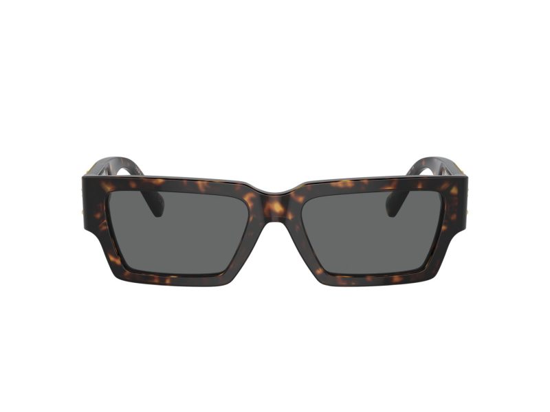 Versace Aurinkolasit VE 4459 108/87
