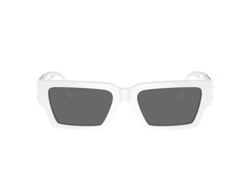 Versace Aurinkolasit VE 4459 314/87