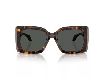 Versace Aurinkolasit VE 4467U 108/87