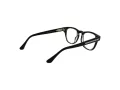 Web Silmalasit WE 5384 005