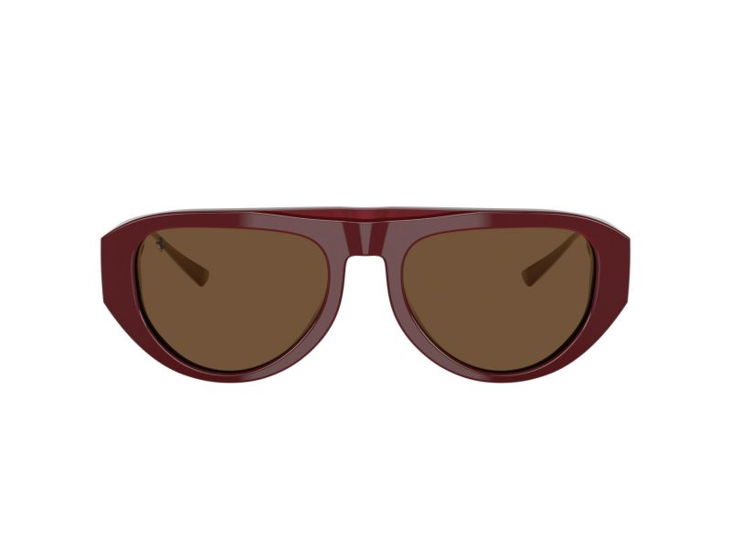 Ferrari Aurinkolasit 2012U 727/53