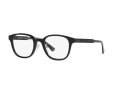 Emporio Armani Silmalasit 3216D 5017