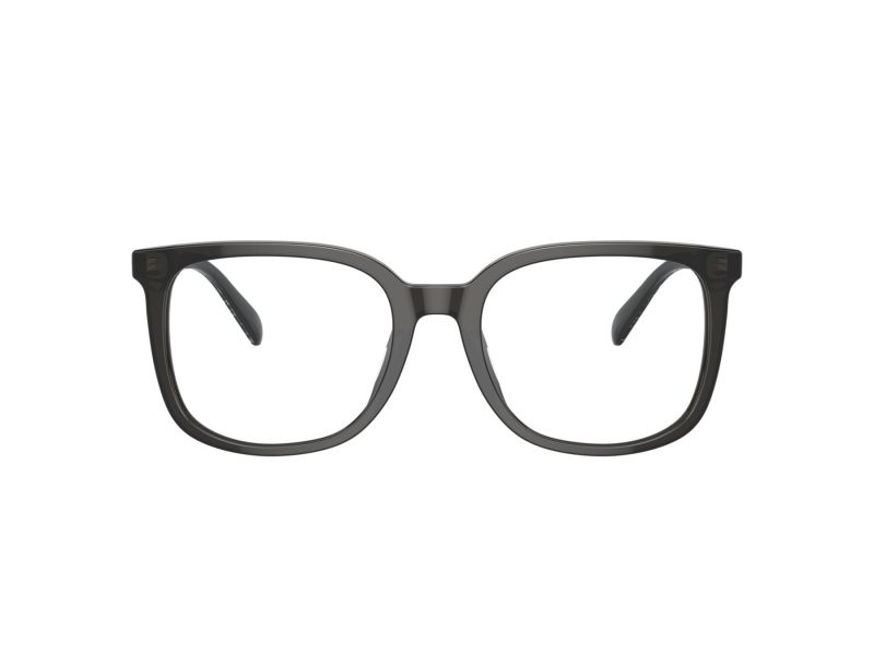 Coach Silmalasit 6227U 5793