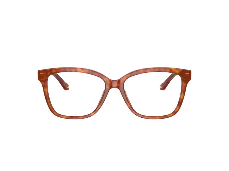 Coach Silmalasit 6242U 5774