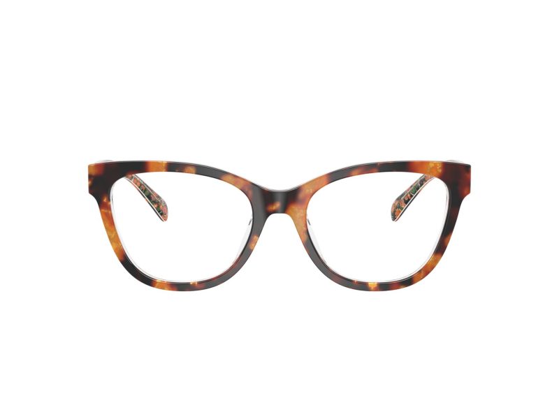 Coach Silmalasit 6249U 5857